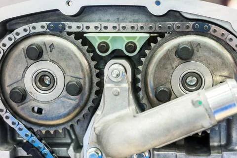 Chain of timing and two sprockets of camshafts. Stock Photos