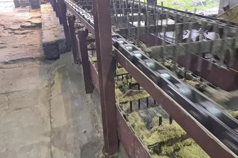 Chain Transmission Units in Sugarcane, Processing Plant 스톡 사진