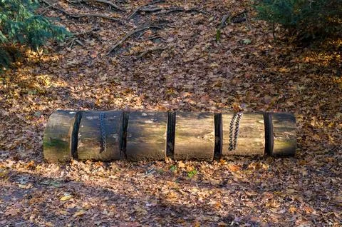 Chained Log Bench in Autumn Stock Photos