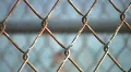 Chainlink fence. HD Footage