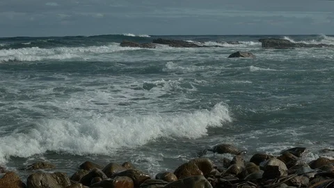 Chains of birds fly over the ocean coast in South Africa Stock Footage 121399036