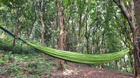 Chains in the forest with a hammock Stock Photos