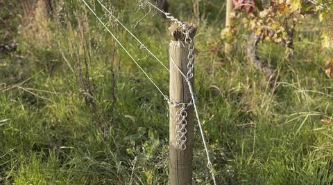 Chains holding vine wires onto a post in a vineyard Foto stock