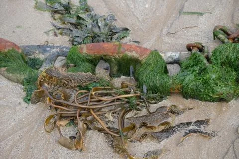 Chains on Sand 스톡 사진