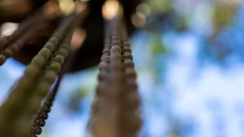 Chains stuck down and the background blurred. Stock Photos