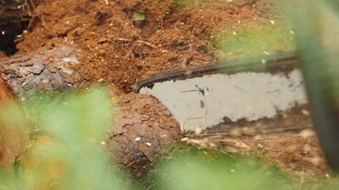 Chainsaw 1 動画素材 261998334