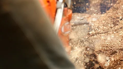 Chainsaw 2 動画素材 261998262