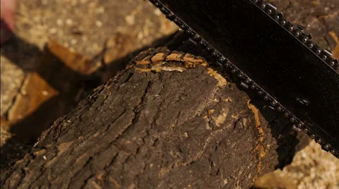 Chainsaw 5 Stock Footage 29192963