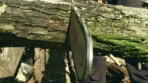 Chainsaw in action cutting wood. A guy cuts trees with a chainsaw for firewood. 스톡 동영상 336570352