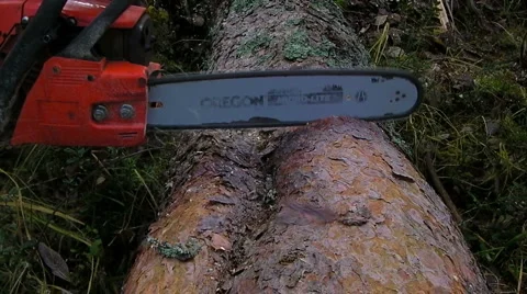 Chainsaw in action Stock Footage