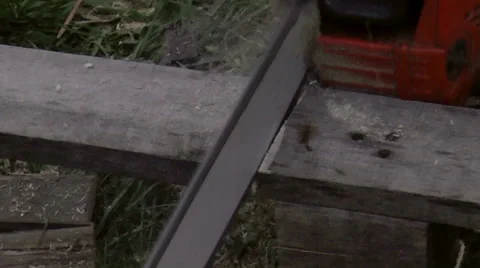 Chainsaw in action Stock Footage 50135854