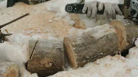 Chainsaw after work on log in forest Video stock 87762992