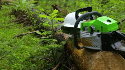 Chainsaw and helmet on log in forest 库存影片 95951309