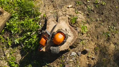 Chainsaw and Protective Helmet on a Tree Stump Stock Footage 336539266