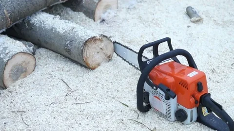 Chainsaw and tree Stock Footage 83648642