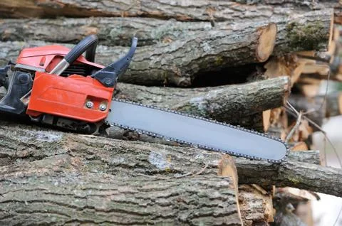 Chainsaw and tree Stock-Fotos
