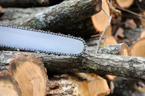 Chainsaw and tree 写真素材