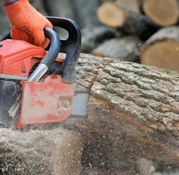 Chainsaw and tree Foto stock