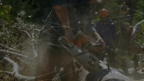 Chainsaw biting log, operator cutting for forestry work, overlay tracking Stock Footage 332504970