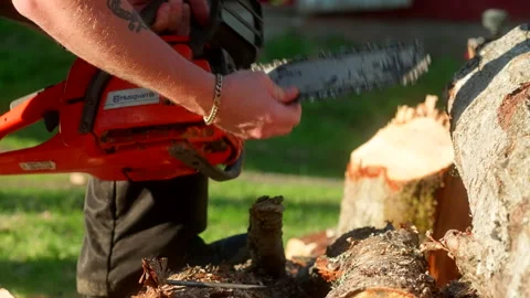 Chainsaw Blade Check While Cutting Logs Outdoors Stock Footage 327333328