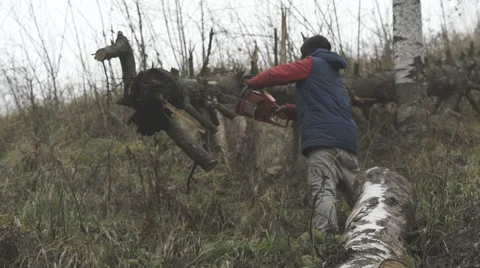 Chainsaw blade cutting log of wood Stock Footage 58658802