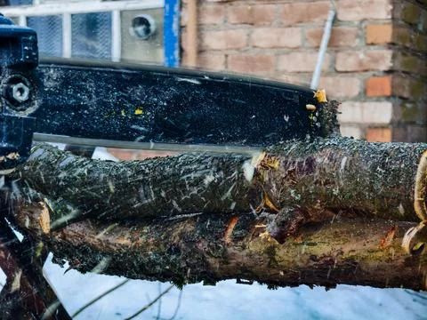 Chainsaw blade cutting through a tree log during a cold winter day, creating Фото