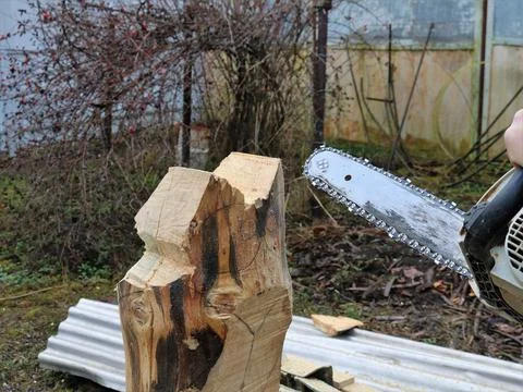 Chainsaw blade in the process of artistic processing of wood Stock Photos