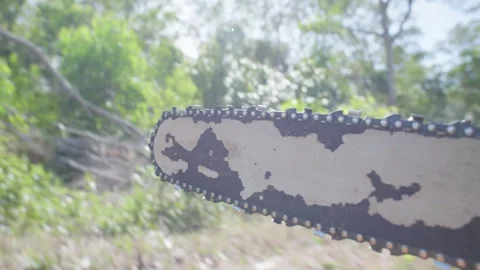Chainsaw Carry 2 Stock Footage 343388697