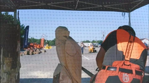 Chainsaw Carving of Eagle Stock Footage 201624669