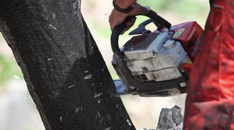 Chainsaw Charred Tree after Wildfire - Tight Shot 스톡 동영상 45360358
