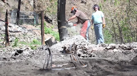 Chainsaw Charred Tree on ash remains after a wildfire Stock Footage 45362122