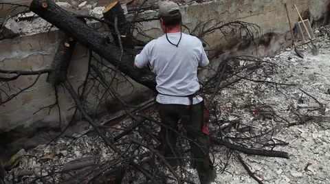 Chainsaw Charred Tree in Ashes - Jib Shot Stock Footage 45359597