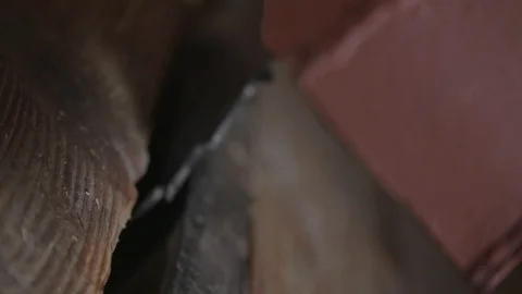 Chainsaw close up Видео 89534459