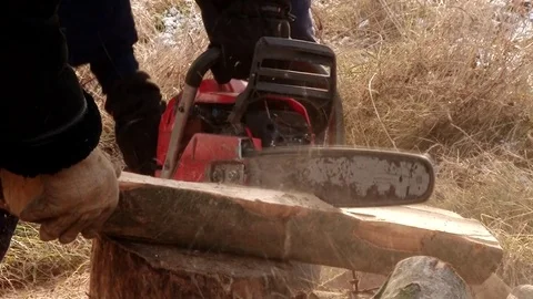 Chainsaw cut a stick Stock Footage 70727158