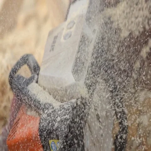 Chainsaw cut tree  Super Slow motion 200fps 库存影片 69554726