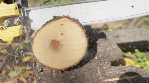 A chainsaw cuts a log Stockbeeldmateriaal 259876989