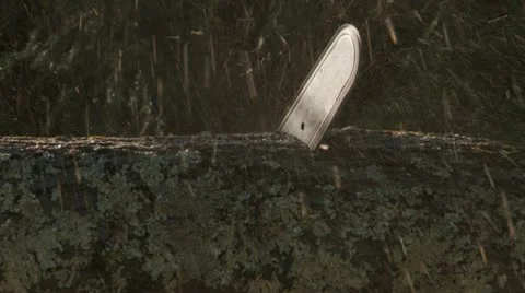 Chainsaw Cuts Through Log 库存影片 12035472