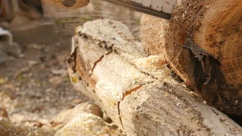 Chainsaw cuts a tree. Close-up of a log. Slow motion Stock Footage 120168782