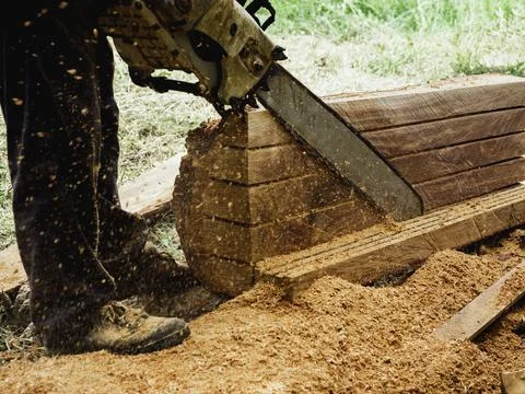 Chainsaw cutting the big tree. Foto stock