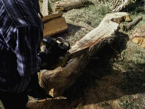 Chainsaw cutting the big tree. Stock Photos