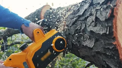 Chainsaw cutting fallen tree in slow motion Stock Footage 340106844