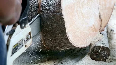 Chainsaw Cutting a Felled Tree in Macro and Slow Motion, dust and movements. Stock-Footage 336570132