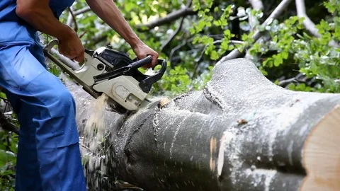 Chainsaw cutting Stockbeeldmateriaal 78805035