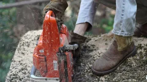 Chainsaw cutting large rounds from oak tree closeup Stock Footage 8959896