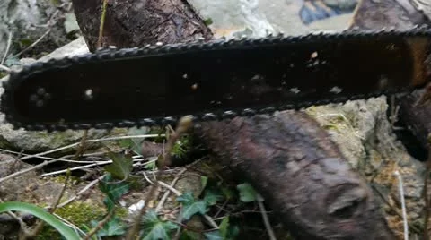 Chainsaw Cutting Log Stock Footage 21928687
