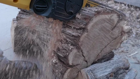 Chainsaw Cutting a Log Stock Footage 127271460