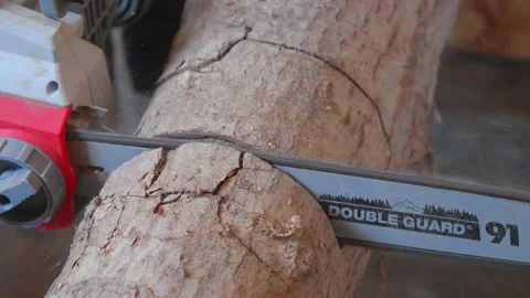 Chainsaw cutting a log. Stock Footage 156827328