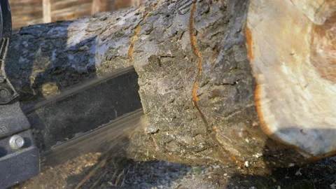 Chainsaw cutting a log Stock Footage 167198724