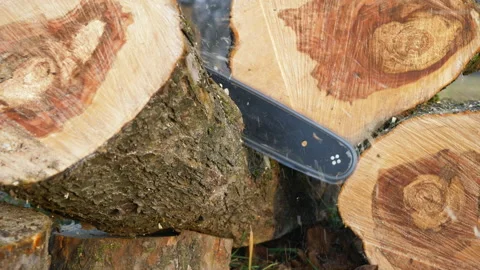 Chainsaw cutting a log Stock Footage 170262011