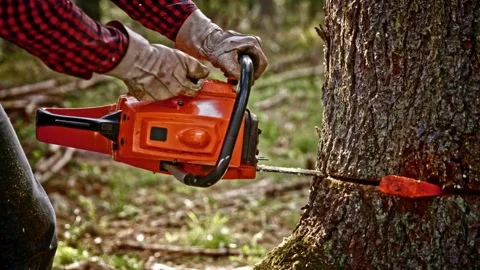 Chainsaw cutting a log in slow motion with saw dust flying in the backlit sun Stock-Footage 336570692